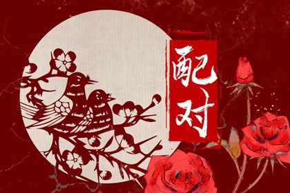 什么是八字合婚？